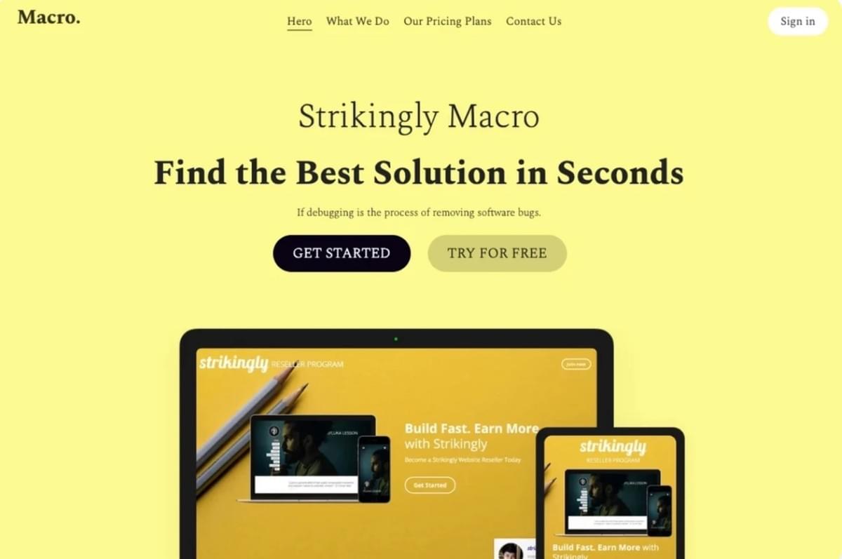 Macrosjabloon van Strikingly Macrosjabloon van Strikingly