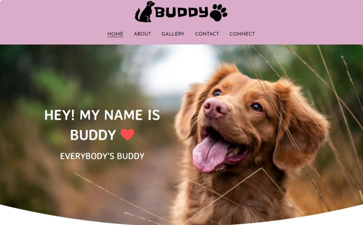 Buddy-mall från Strikingly Buddy-mall från Strikingly