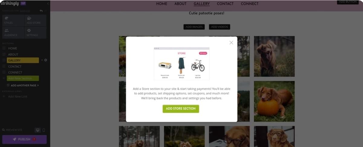 Hoe start je een online bedrijf met Strikingly - Stel e-commerce functies in (indien van toepassing) Hoe start je een online bedrijf met Strikingly - Stel e-commerce functies in (indien van toepassing)
