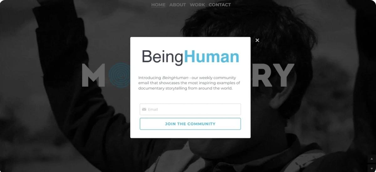 creëer een e-mailmarketingstrategie zoals Momentary creëer een e-mailmarketingstrategie zoals Momentary