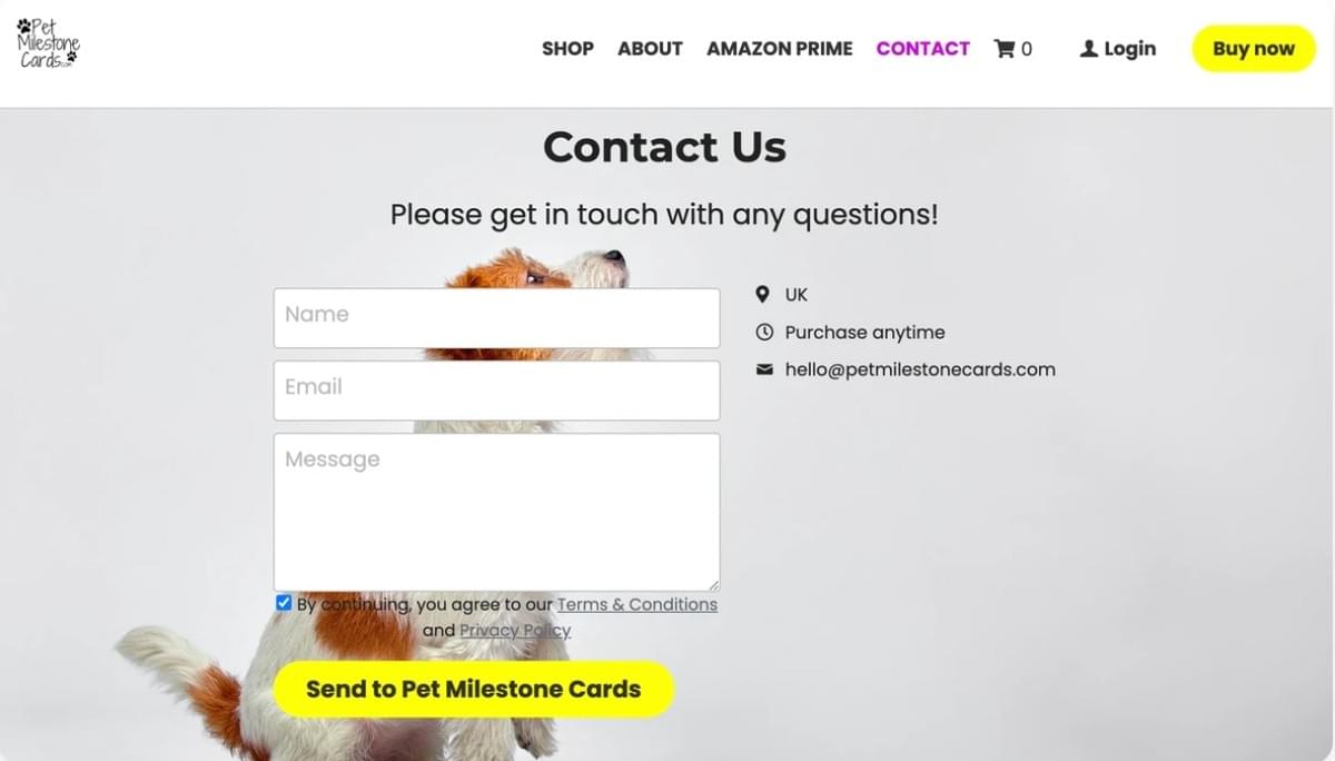 Domínio de E-mail de Marca: Eleve Sua Comunicação Domínio de E-mail de Marca: Eleve Sua Comunicação