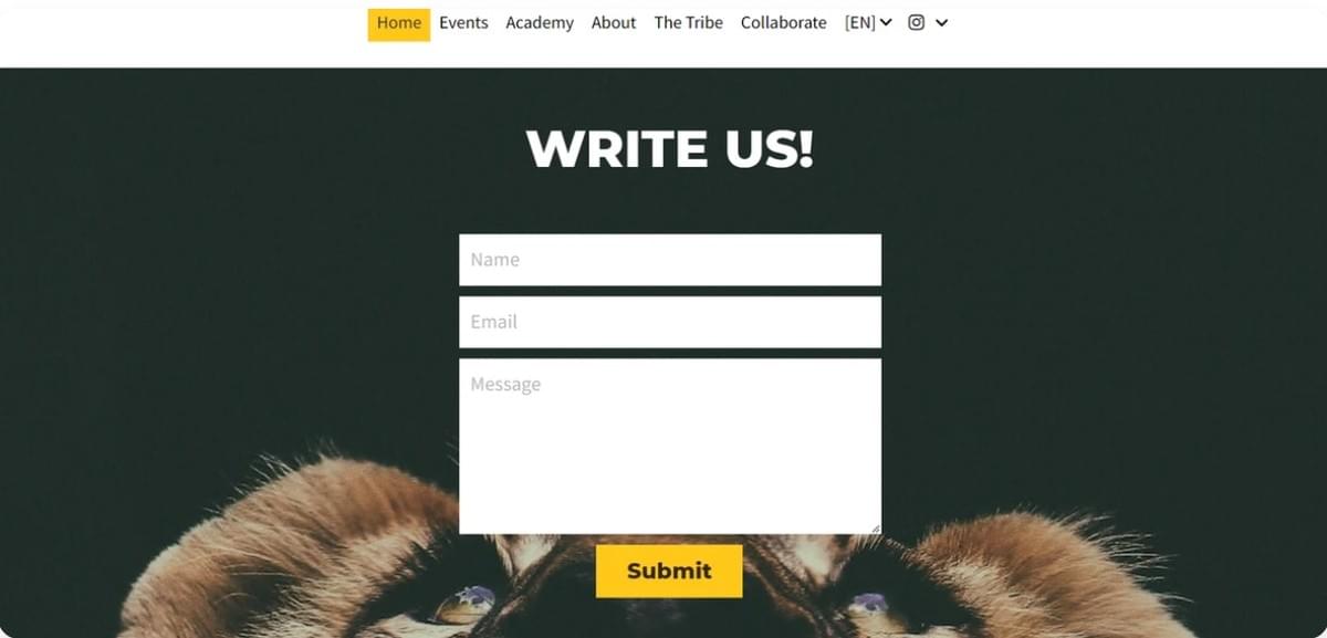 Desperte a Sua Caixa de Entrada: Revelando o Lado Divertido da Automação de E-mail Desperte a Sua Caixa de Entrada: Revelando o Lado Divertido da Automação de E-mail
