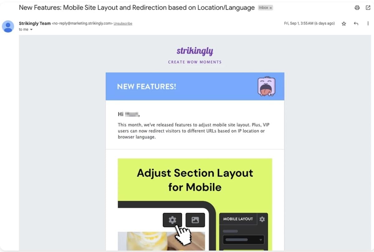 Newsletter Strikingly Newsletter Strikingly