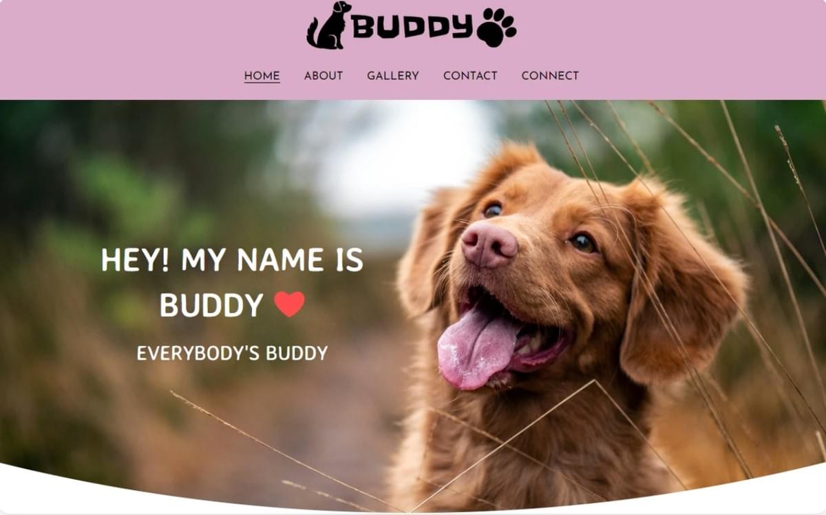 Buddy Template van Strikingly Buddy Template van Strikingly