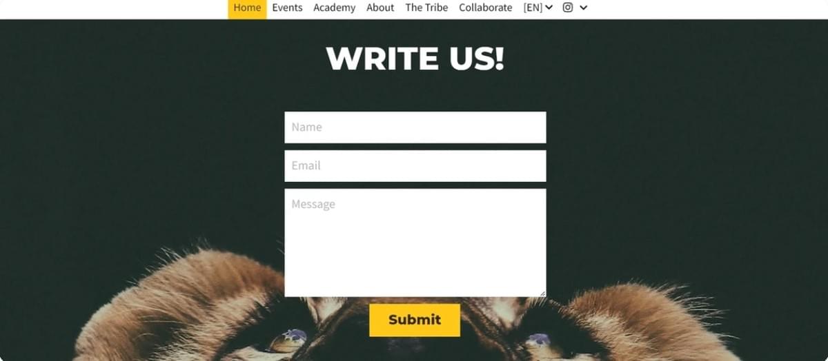 Promoot uw bedrijf zoals Playfight Promoot uw bedrijf zoals Playfight