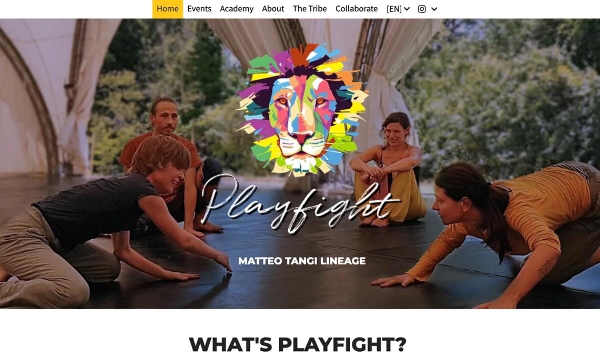 Playfight aangepast logo Playfight aangepast logo