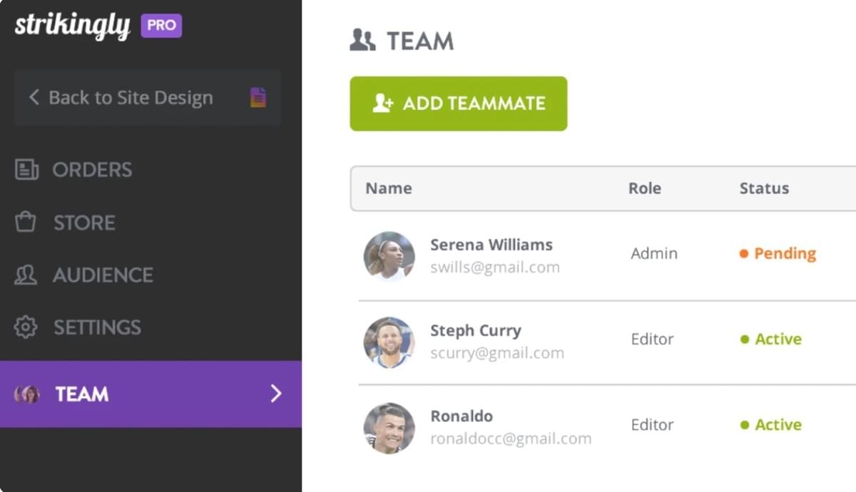 Strikingly Team-functie Strikingly Team-functie