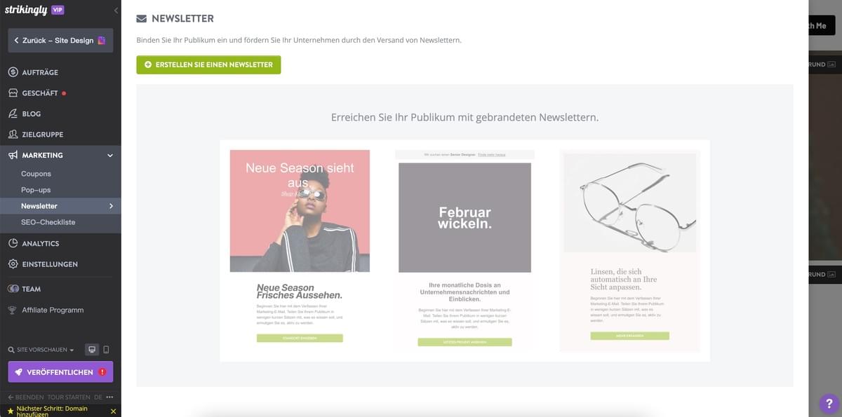 Newsletter-Marketing-Funktion von Strikingly Newsletter-Marketing-Funktion von Strikingly
