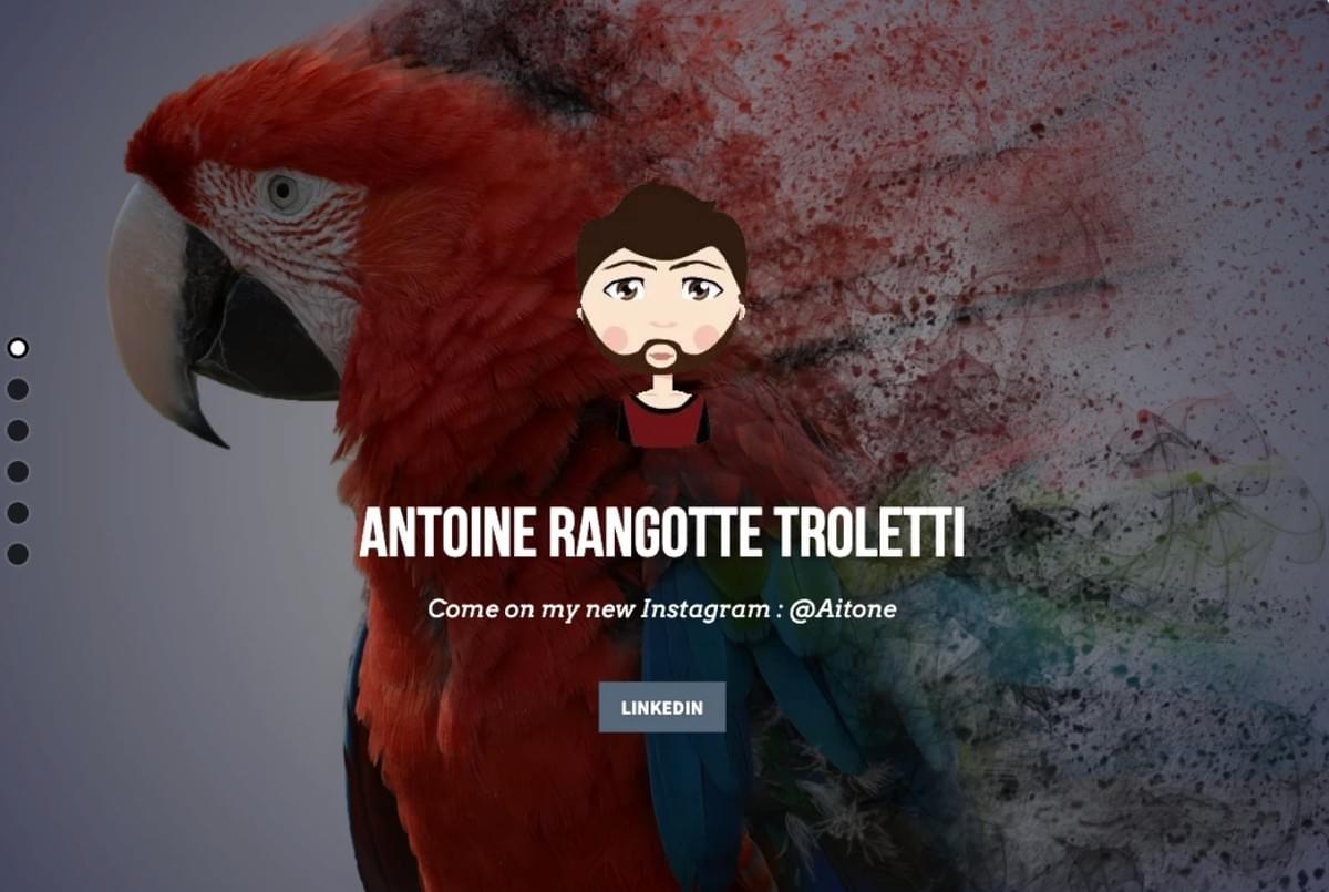 CV van Antoine Troletti, grafisch ontwerper CV van Antoine Troletti, grafisch ontwerper
