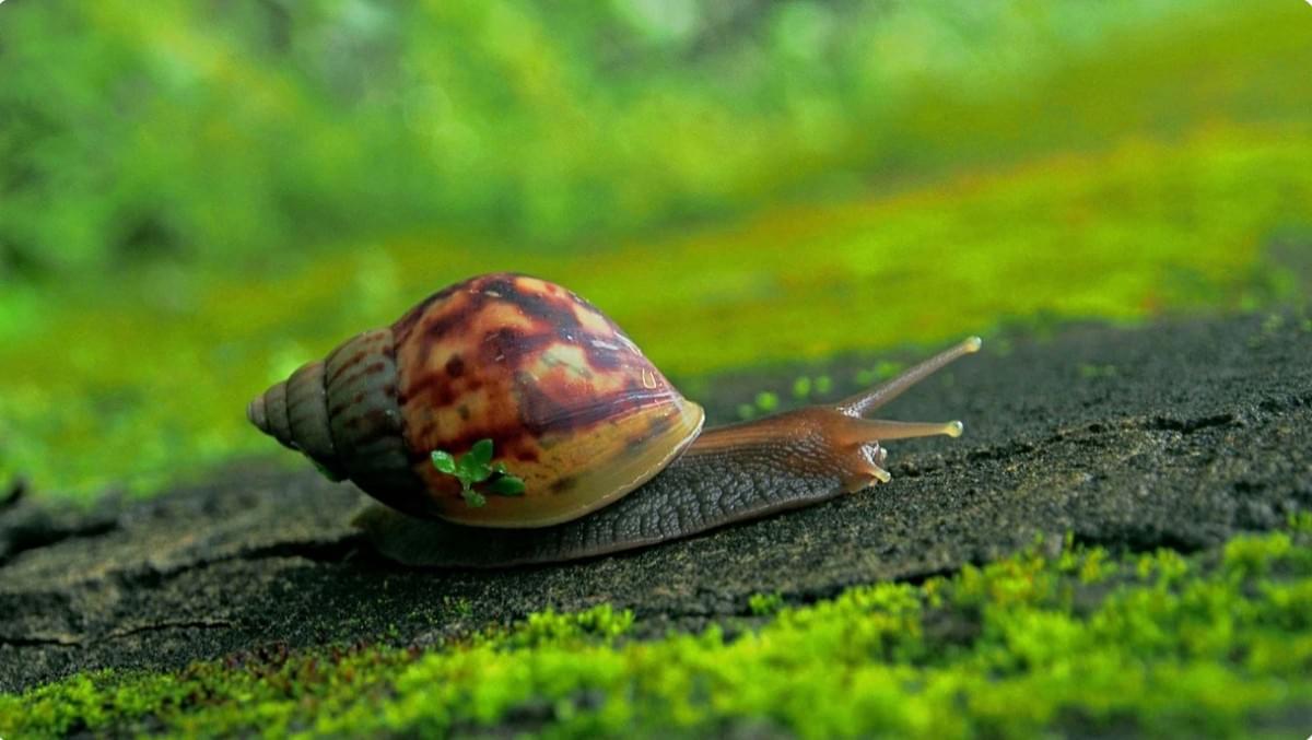 Maneiras Rápidas e Eficazes de Melhorar Seu Site Lento Maneiras Rápidas e Eficazes de Melhorar Seu Site Lento