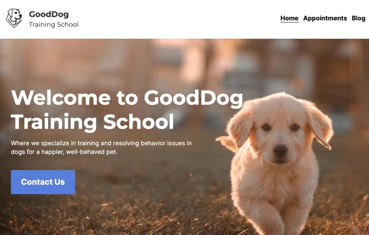 Vorlage für eine Hundetrainingsschule von Strikingly Vorlage für eine Hundetrainingsschule von Strikingly