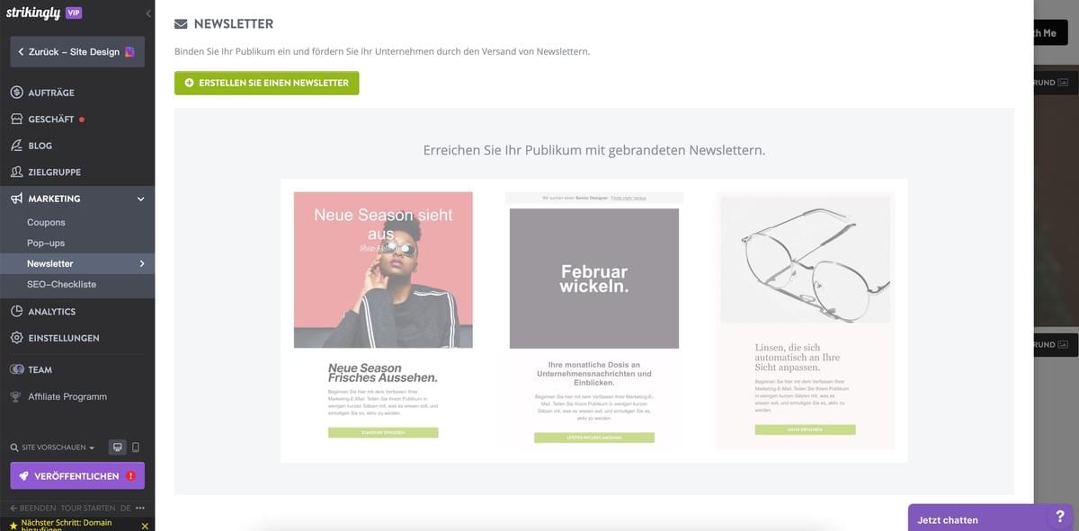 Ideen für Lead-Magneten: Die Newsletter-Funktion von Strikingly Ideen für Lead-Magneten: Die Newsletter-Funktion von Strikingly