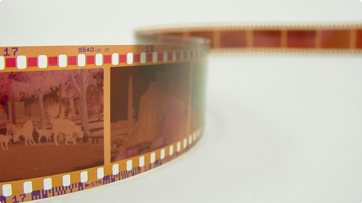 De Ultieme Gids voor het Ontwikkelen van 35mm Film De Ultieme Gids voor het Ontwikkelen van 35mm Film