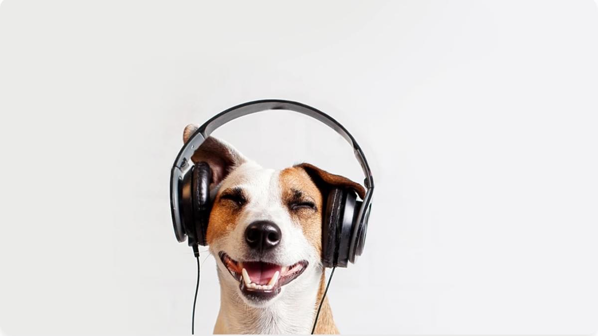 Die Kunst des Social Listening: Verwandeln Sie das Engagement Ihrer Marke Die Kunst des Social Listening: Verwandeln Sie das Engagement Ihrer Marke
