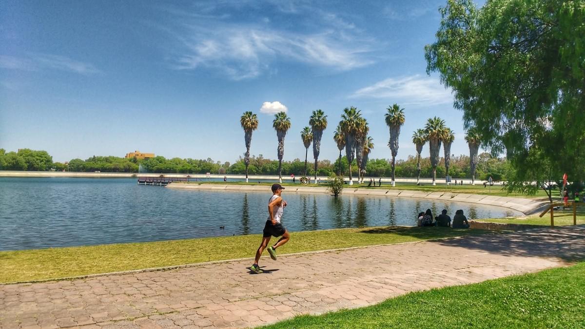 A runner passing one of the lakes at Tangamanga Park in San Luis Potosi. Locals sheltering from the sun underneath trees. A runner passing one of the lakes at Tangamanga Park in San Luis Potosi. Locals sheltering from the sun underneath trees.