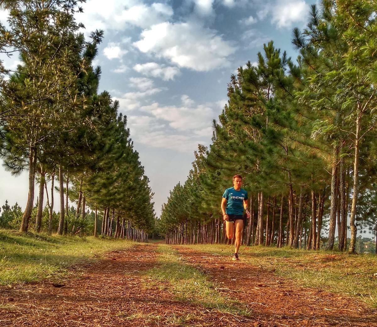 Runner sprints on a dirt track amongst a long row of pine trees on Pine Ridge, Masaka, Uganda Runner sprints on a dirt track amongst a long row of pine trees on Pine Ridge, Masaka, Uganda