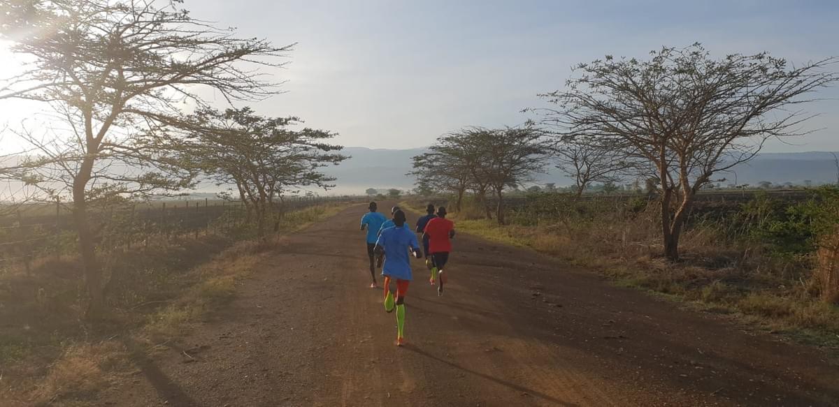 Athletes from the Joshua Cheptegei training group run through trees during fartlek session on the plateau in eastern Uganda Athletes from the Joshua Cheptegei training group run through trees during fartlek session on the plateau in eastern Uganda