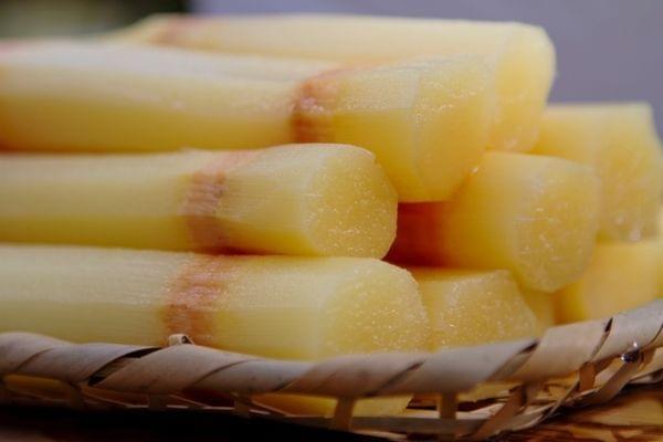 Sugarcane Mex Sugarcane Mex