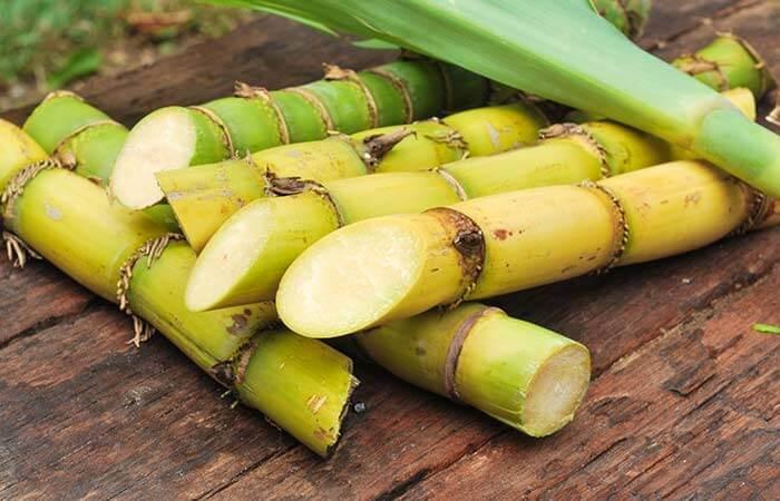 Sugarcane Mex Sugarcane Mex