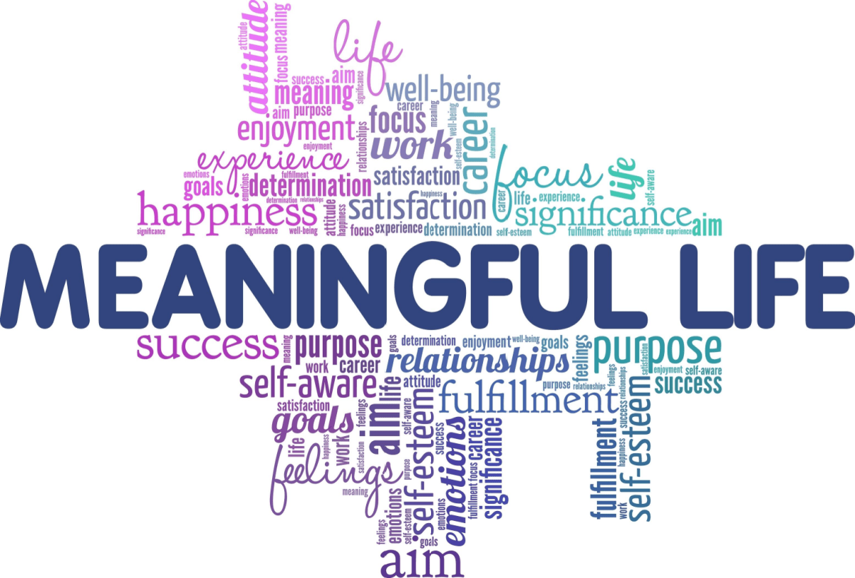 Meaningful Life-graphic Meaningful Life-graphic