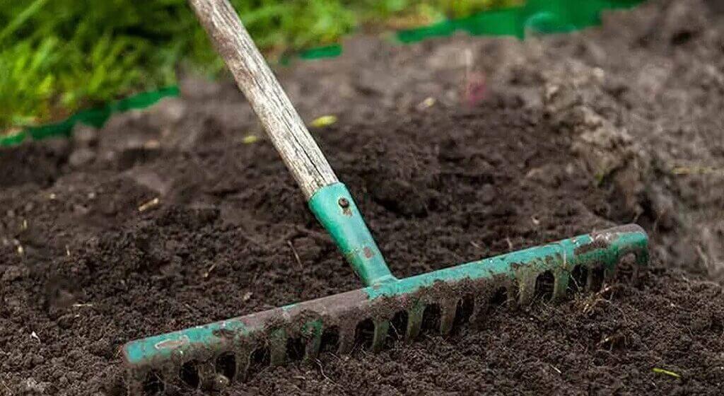 how to plant grass seed how to plant grass seed