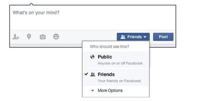 The basic privacy options The basic privacy options