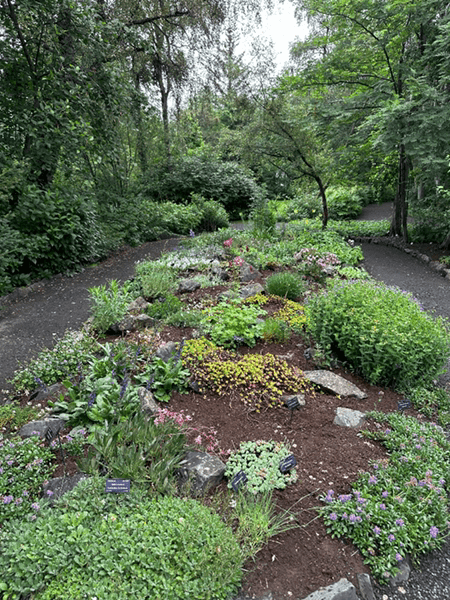 Section image