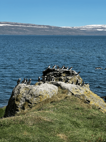 Section image