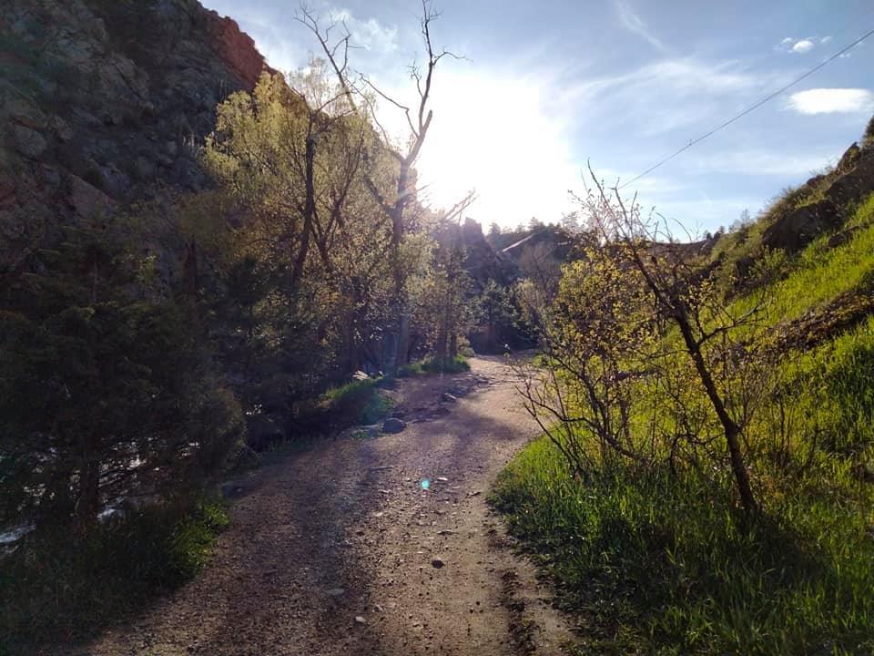 Section image
