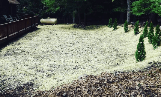 Our Landscaping Business also specializes in Tree and Shrub Planting. Our Landscaping Business also specializes in Tree and Shrub Planting.