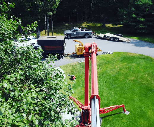 Tree trimming service based out of Moscow PA serving Lake Ariel, Hamlin and Sorrounding Areas. Tree trimming service based out of Moscow PA serving Lake Ariel, Hamlin and Sorrounding Areas.