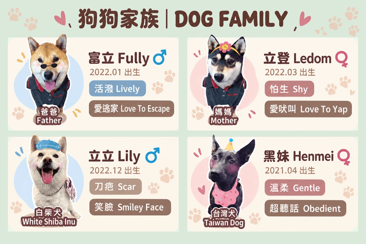 富立登狗狗家族介紹:柴犬富立、黑柴立登、白柴立立與台灣犬黑妹 富立登狗狗家族介紹:柴犬富立、黑柴立登、白柴立立與台灣犬黑妹