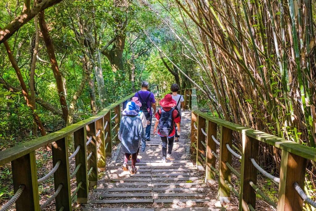 旅客漫步於桃園蘆竹羊稠森林步道 旅客漫步於桃園蘆竹羊稠森林步道