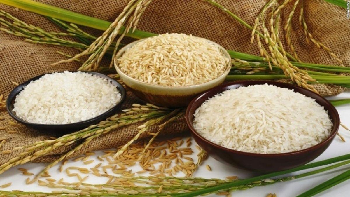 Fortified Rice Price Fortified Rice Price