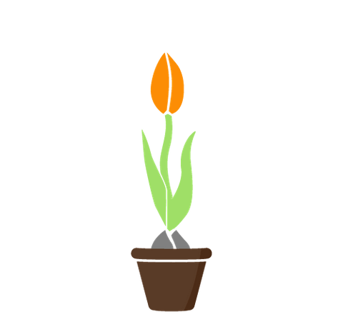 Small Business, growing tulip Small Business, growing tulip