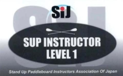 サップバッジテスト サップバッジテスト