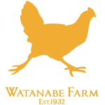 注文専用メールアドレス 注文専用メールアドレス