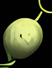 汙濁之地詳細介紹 汙濁之地詳細介紹