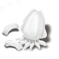 2023台北燒肉推薦 台北最強健康環保輕燒肉燒烤 中秋節烤肉首選 外帶外送宅配 母親節餐廳 生日大餐 同事聚餐 單點套餐燒肉店 代烤桌邊服務  頂級燒肉 健康 桌邊服務 無煙 和牛 美國牛肉 台北烤肉燒烤 大腕燒肉 樂軒和牛 老乾材 燃MOE UNCLE SHAWN 2023台北燒肉推薦 台北最強健康環保輕燒肉燒烤 中秋節烤肉首選 外帶外送宅配 母親節餐廳 生日大餐 同事聚餐 單點套餐燒肉店 代烤桌邊服務  頂級燒肉 健康 桌邊服務 無煙 和牛 美國牛肉 台北烤肉燒烤 大腕燒肉 樂軒和牛 老乾材 燃MOE UNCLE SHAWN