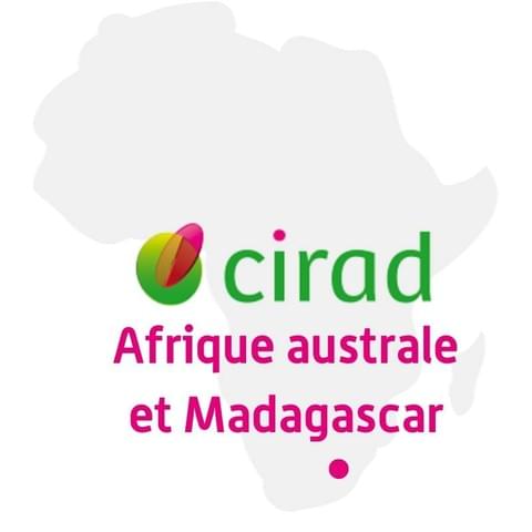 Cirad Cirad