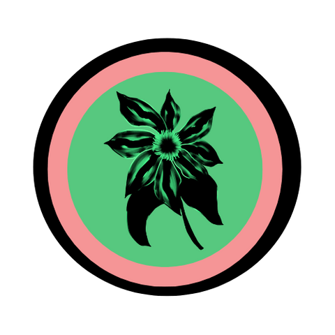 The Crypto Renaissance The Crypto Renaissance