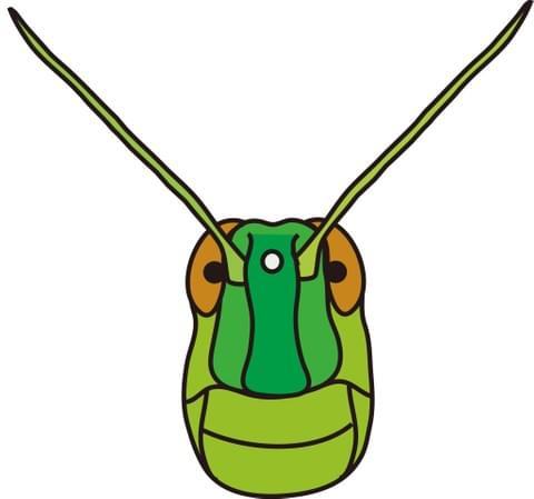 Section image