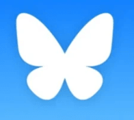 Cynthia Blair  Cynthia Blair