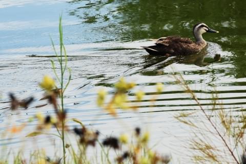 海天一色的美景 海天一色的美景