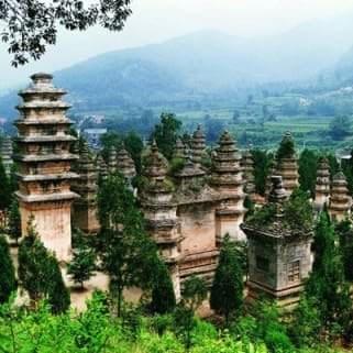 Shaolin Temple, Taichi, Kungfu, outdoor education china, school trips, CAS, IB, adventure, chinese culture, International schools,  Shaolin Temple, Taichi, Kungfu, outdoor education china, school trips, CAS, IB, adventure, chinese culture, International schools,