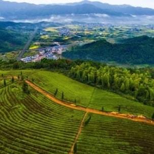 Ninghai, Ningbo, outdoor education china, school trips, CAS, IB, adventure, chinese culture, International schools,  Ninghai, Ningbo, outdoor education china, school trips, CAS, IB, adventure, chinese culture, International schools,
