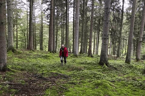 wandern in den Ardennen wandern in den Ardennen