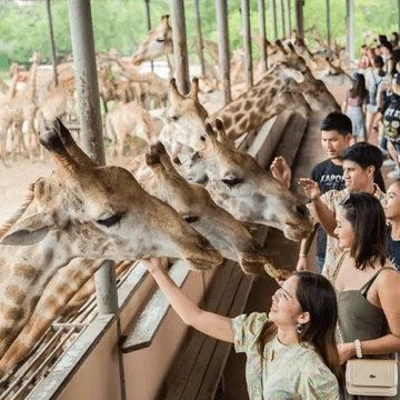 曼谷 賽福瑞動物園 Bangkok Safari World  曼谷 賽福瑞動物園 Bangkok Safari World