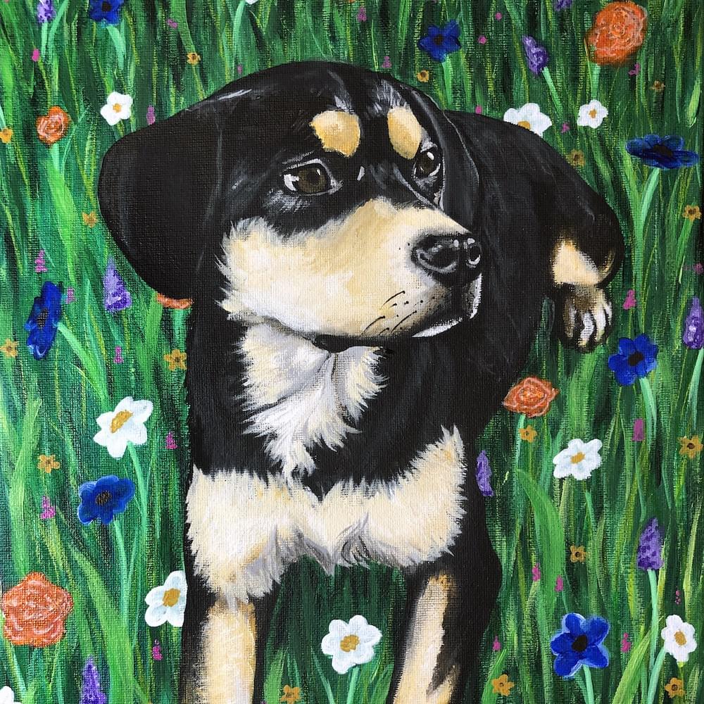 pet portrait