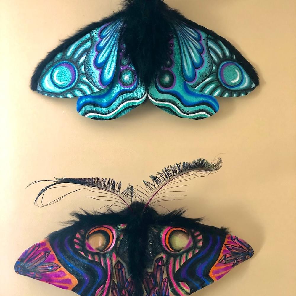 textile moths